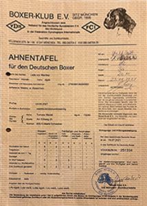 ahnentafel_lejla_web