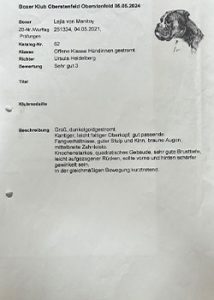 deckanzeige_lejla_web