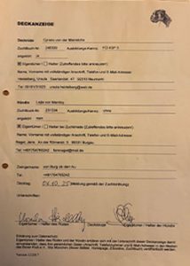 deckanzeige_lejla_web