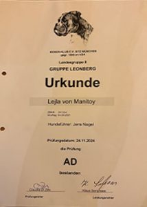 pruefung_ad_lejla_web