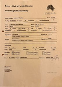 zuchttauglichkeit_lejla_web